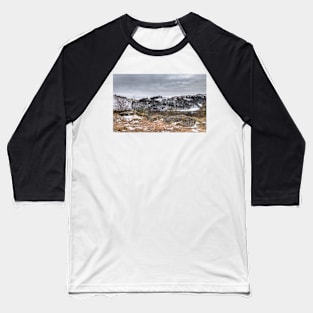 Winter, White Moss Common Baseball T-Shirt